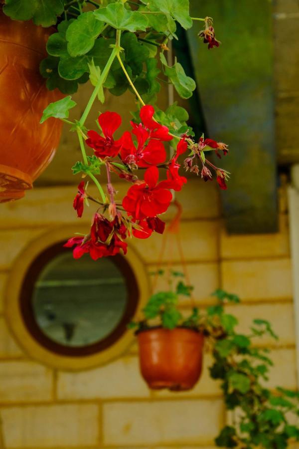 Damask Rose, Lebanese Guest House Jounieh Bagian luar foto